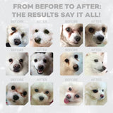 NP Superior Care White Junior White Fish ALL 10 kg (M-nappulakoko) (-25%)