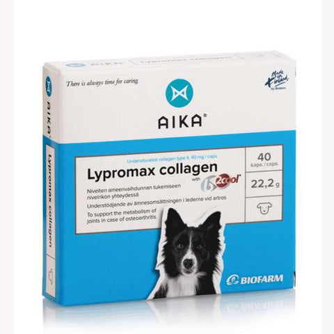 Aika Lypromax Collagen 40 kaps (-29%)