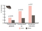 PetGuide Suu ja Hampaat 52 g